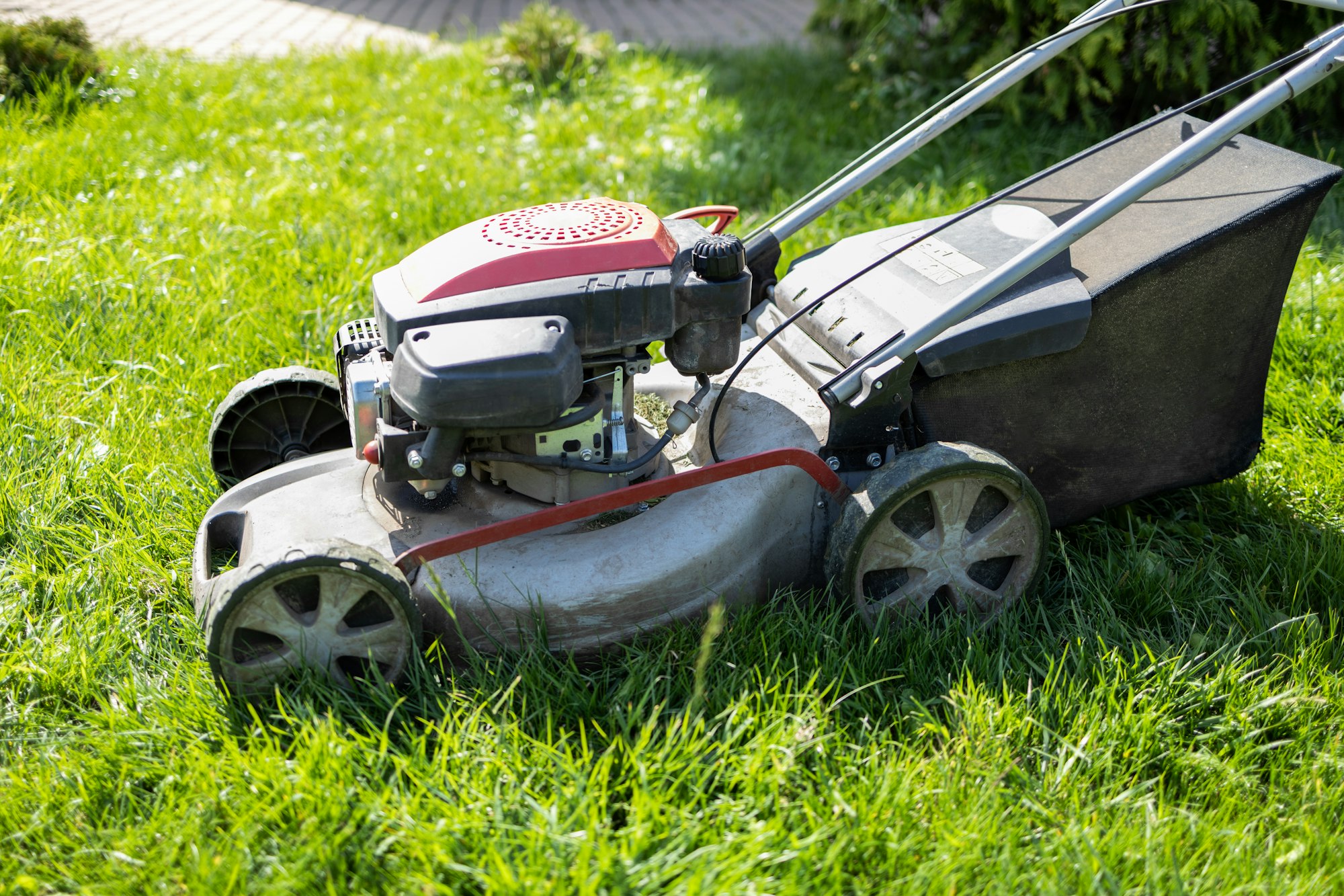 Gasoline lawn mower on the grass